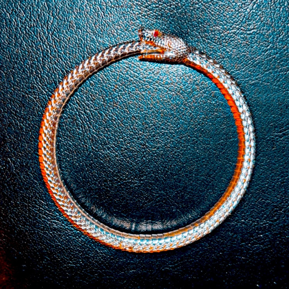 Unique Ouroboros snake bracelet Silver with Red Ruby eyes
